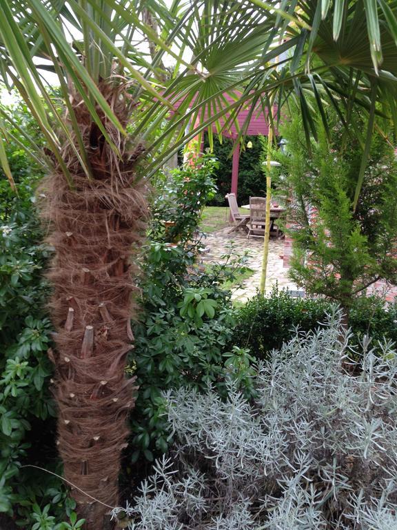 Les Jardins Carnot Hotell Compiègne Rum bild